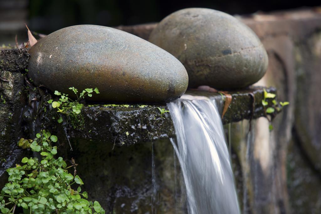 فندق Tacámbaro de Codallosفي  Quinta Sauz المظهر الخارجي الصورة