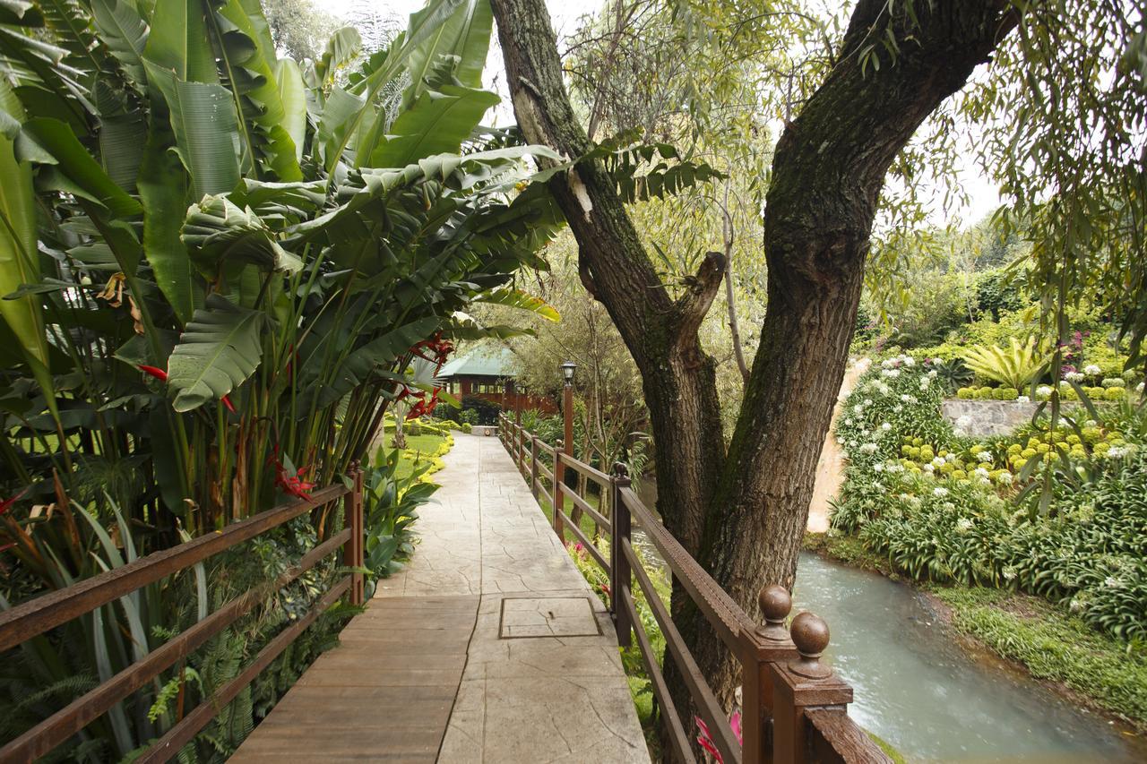 فندق Tacámbaro de Codallosفي  Quinta Sauz المظهر الخارجي الصورة